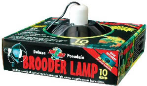 Picture of Zoo Med Labs 850-32150 Zoo Med Black Deluxe 10 in Brooder Lamp for Reptiles