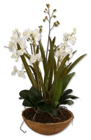 Picture of 212 Main 60039 Moth Orchid Planter - Polyester-Plastic