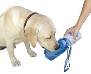 Picture of Lixit 250-00842 Lixit Thirsty Dog Portable Water Bottle- Bowl Assorted Colors