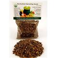 Picture of Handy Pantry B-40 Buckwheat Sprouting Seeds - 4oz
