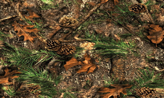 Picture of Custom Printed Rugs Mixed Pine Pine Cones and Autum Leaves Door Mat