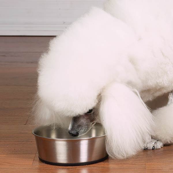 Picture of Pet Pals ZW880 88 Stainless Steel Bowl with Rubber Base 88oz