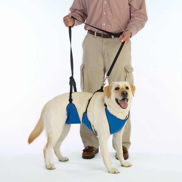 Picture of Pet Pals ZW477 14 19 Guardian Gear Lift &amp; Lead 4-In-1 Sm Blue