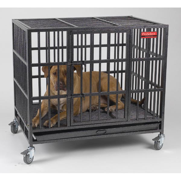 Picture of Pet Pals ZW179 42 ProSelect Empire Cage Lrg S