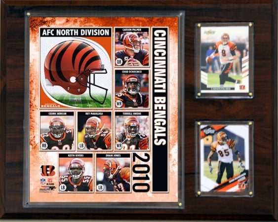 Picture of C & I Collectables 2010BENGALSTSC NFL Cincinnati Bengals Licensed 2010 Score Team Set and Favorite Player Trading Card Pack Plus Storage Album