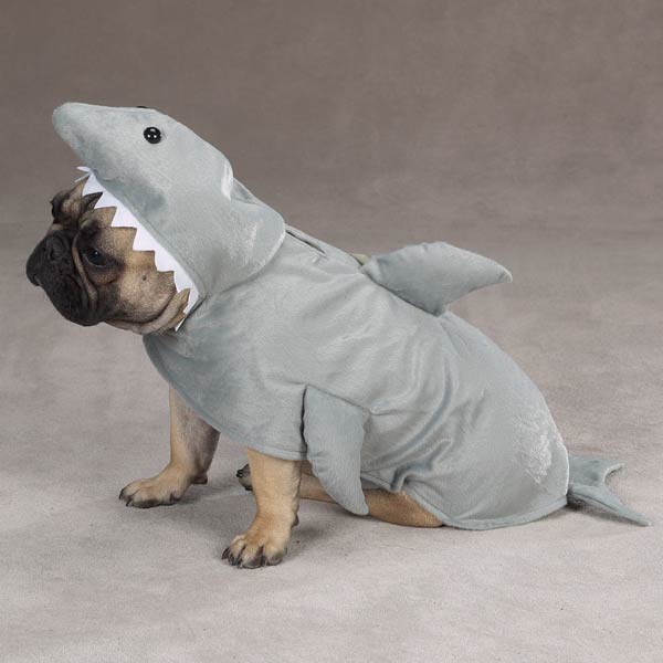 PET PALS