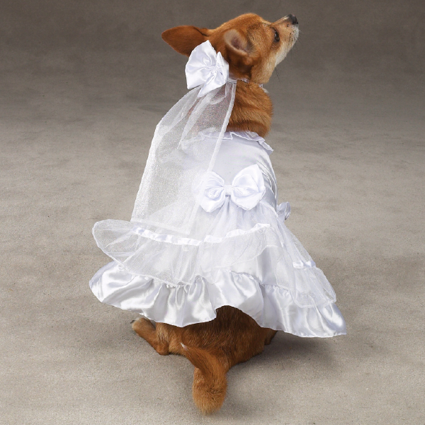Picture of Pet Pals ZM1011 10 ESC Yappily Ever After Wedding Dress Xsm