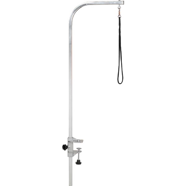 Picture of Pet Pals TP153 48 Master Equipment Grmg Arm with Clamp 48 In Q