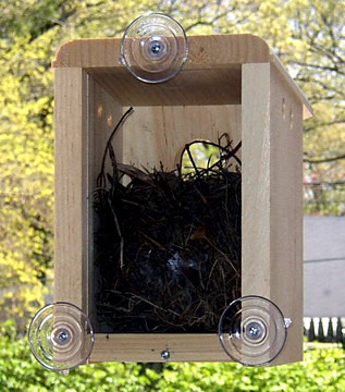 Picture of Coveside 10010 Window Nest Box Birdhouse 