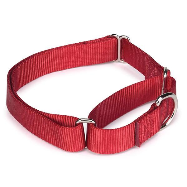 Picture of Pet Pals ZA1513 14 83 GG Nylon Martingale Collar 14-20 In Red