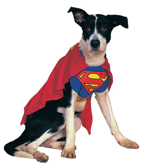 Rubies Costume Co 6133 Superman Pet Costume Size Large -  PerfectPretend, PE48985