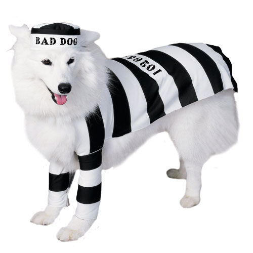 Rubies Costume Co 6897 Prisoner Dog Pet Costume Size Small -  Rubie s Costume Co Inc, 108710