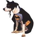 Rubies Costume Co 6132 Batman Pet Costume Size Small Rubies Costume Co 6132 Batman Pet Costume Size Small