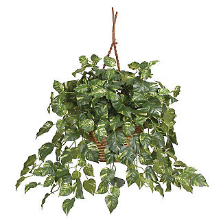 Picture of Nearly Natural 6517 Pothos Hanging Basket Silk Plant- Green