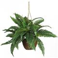Nearly Natural 6599 Boston Fern Silk Hanging Basket- Green Nearly Natural 6599 Boston Fern Silk Hanging Basket- Green