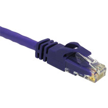 Cat6 75ft Snagless Patch Cable - Purple - 75 ft - High-Speed Data Transfer