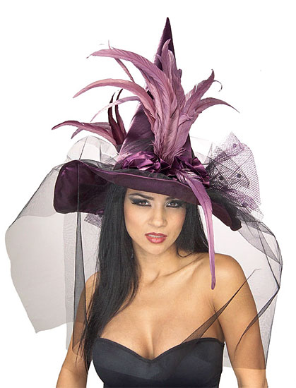 Picture of Rubies  154992 Purple Feather Adult Witch Hat