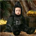 Costumes 185632 Gorilla Deluxe Toddler Costume Size: 1-2T Costumes 185632 Gorilla Deluxe Toddler Costume Size: 1-2T