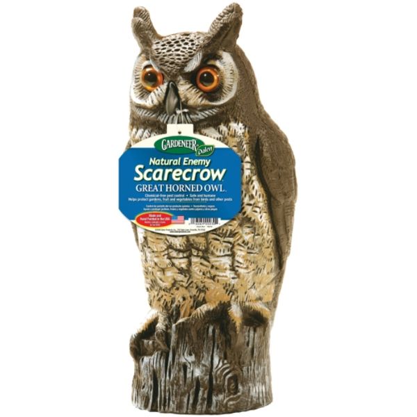 Picture of Dalen Products Incorporated DALOW6 Dalen 16 in. Molded Owl Painted