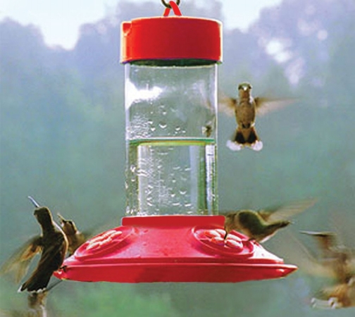 Picture of Dr Jb ft.S Hummingbird Products BSPSE6002 Feeder- Red