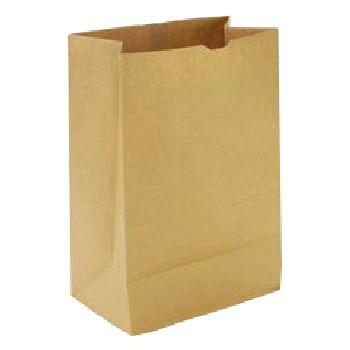 Picture of Paper Bags & Sacks BAG SK1657 .17 Bbl 57 Natural 500-Bundle