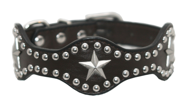 Hip Doggie HD-4BKSC-L Large Black Star Wave Collar