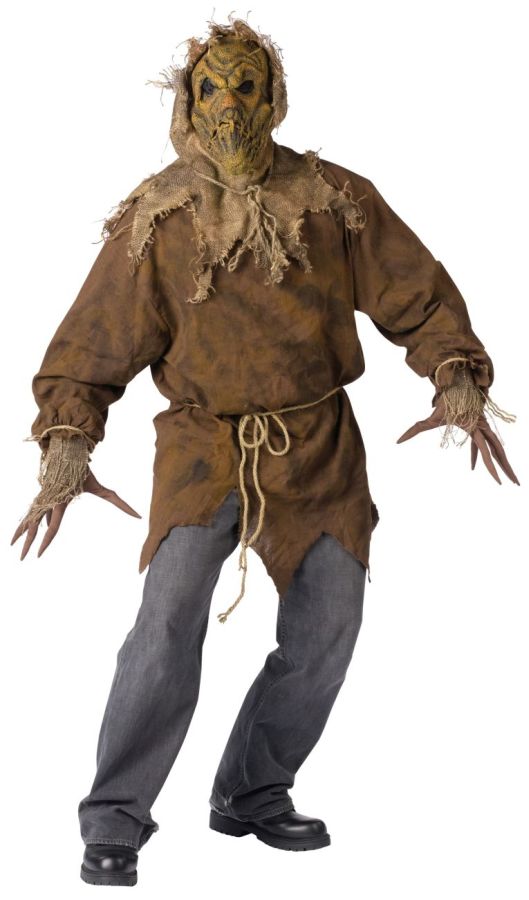 Picture of Costumes For All Occasions FW130134 Scarecrow Adult