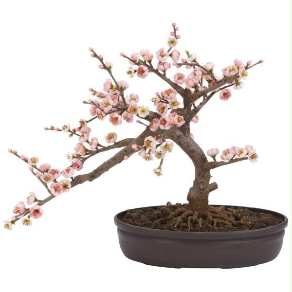 Picture of Nearly Natural Silk 4764 Cherry Blossom Bonsai Silk Tree