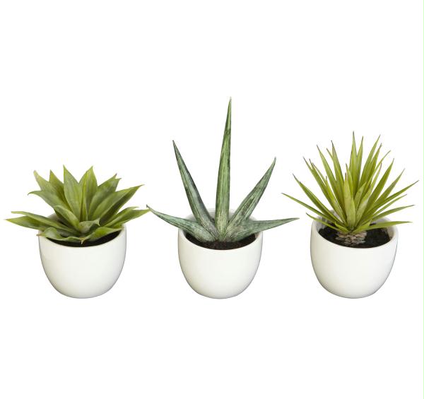 Silk Southwest Collection - Set Of 3