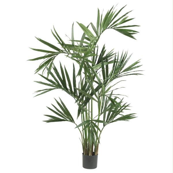 Silk  6 ft. Kentia Palm Silk Tree - Green