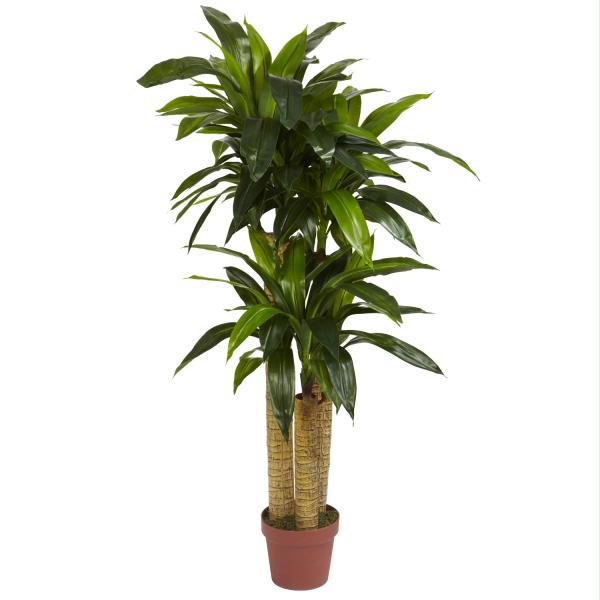 Picture of Nearly Natural Silk 6648 4 ft. Corn Stalk Dracaena Silk Plant - Real Touch -