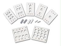 Picture of CABLES TO GO 3711 2-Port Keystone Wallplate - Ivory