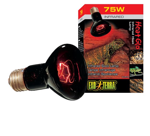Picture of RC Hagen PT2142 Exo Terra Heat-Glo Infrared Spot Lamp  75W  120V