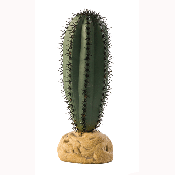 Picture of RC Hagen PT2981 Exo Terra Saguaro Cactus Terrarium Plant