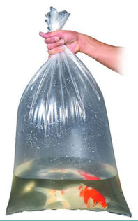 Picture of Aquascape 98912 18 in. x 36 in. Fish Bags - Case of 100