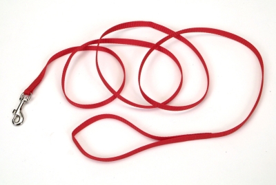 Picture of Coastal Pet Products CO00961 4 ft. Nylon Web Lead - Red