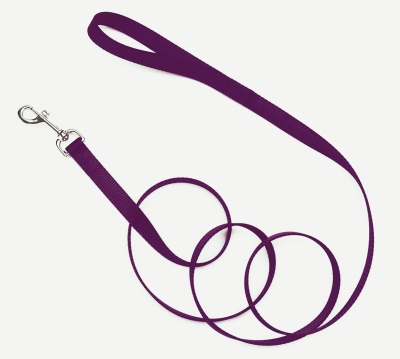 Picture of Coastal Pet Products CO04419 .75 in. Nylon Web Lead - Purple