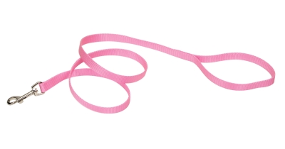 Picture of Coastal Pet Products CO40411 404 .63 in. Nylon Web Lead - Bright Pink 4 ft.