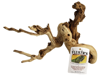Picture of Flukers Laboratories FL52003 12-18 in. Small Iguana Branch