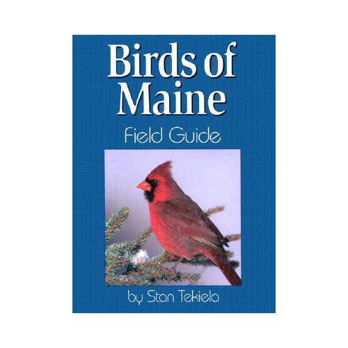 Picture of Adventure Publications  AP61461 Birds Maine Field Guide