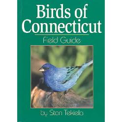 Picture of Adventure Publications  AP61935 Birds Connecticut Field Guide