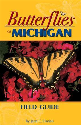 Picture of Adventure Publications  AP30983 Butterflies Michigan FG