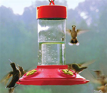 Picture of Songbird Essentials SE6018 Dr. JBs 16 oz Clean Feeder - All Red Feeder w - Yellow Flowers