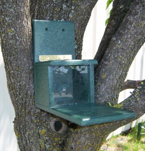Picture of Songbird Essentials SERUB1038 Recycled Plastic Squirrels Only Feeder