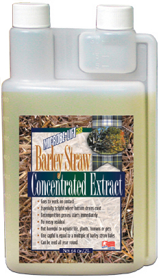 64 Oz Concentrated Extract Barley Straw - Pack of 4