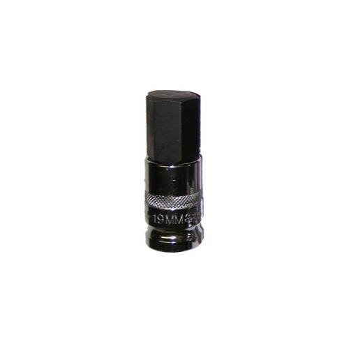 50in. Drive 19mm Hex Bit Socket