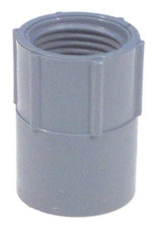 Thomas And Betts  Lamson 1 in. Non Metallic Female Adapter  E942FR-CTN