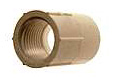 50in. PVC Sch. 40 Female Adapters  - Pack of 10