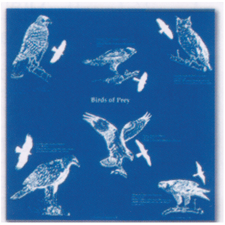 104107 Birds of Prey Bandana