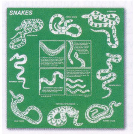 104113 Snakes Bandana